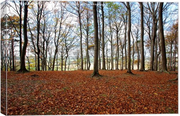 Sharpenhoe Clappers Canvas Print by Graham Custance