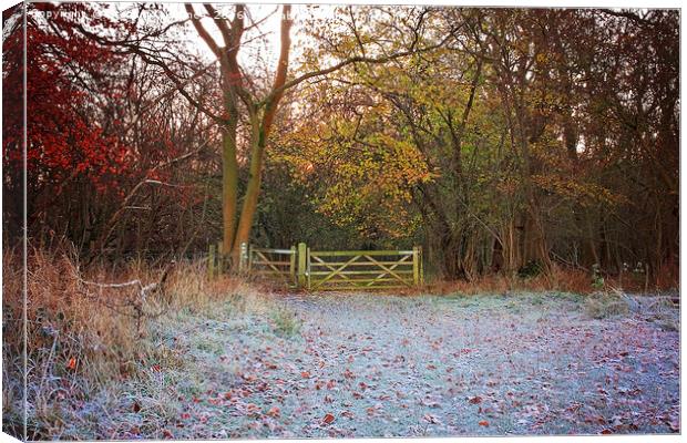 Winter Sunrise in the Chilterns Canvas Print by Graham Custance