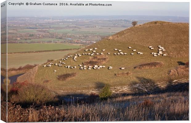 Ivinghoe Beacon Canvas Print by Graham Custance