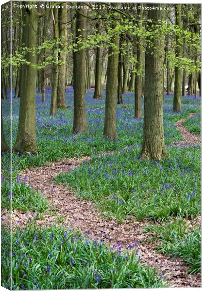 Bluebell Woods Canvas Print by Graham Custance