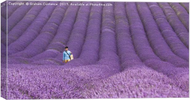 Lavender Field Canvas Print by Graham Custance