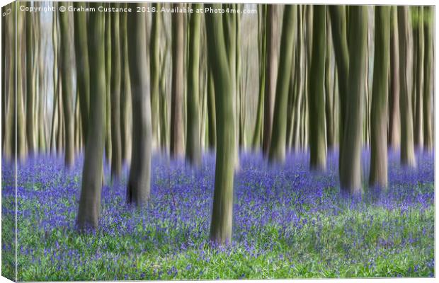 Bluebell Blur Canvas Print by Graham Custance