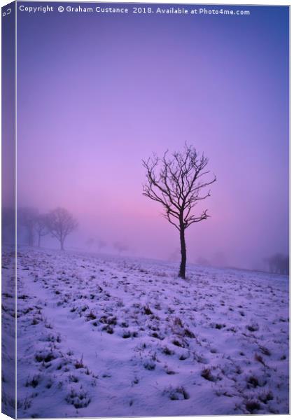 Winter Mist Canvas Print by Graham Custance