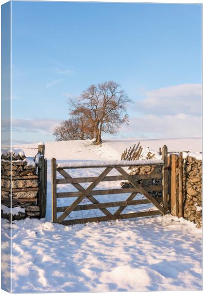Yorkshire Dales in Winter Canvas Print by Graham Custance