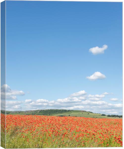 Poppy Field Canvas Print by Graham Custance