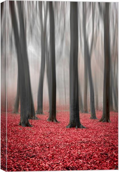 Autumn Canvas Print by Graham Custance