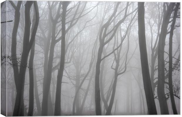 Moody Misty Morning Canvas Print by Graham Custance