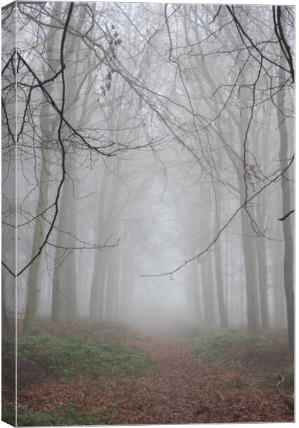 Autumn Trees Canvas Print by Graham Custance