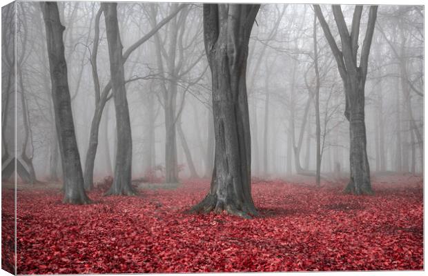 Autumn Trees Canvas Print by Graham Custance