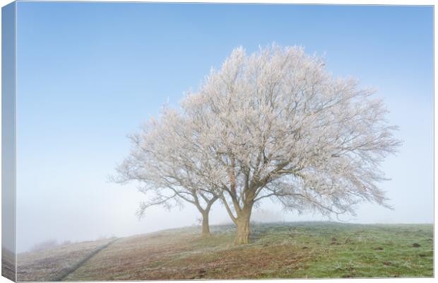 Dunstable Downs in Winter Canvas Print by Graham Custance