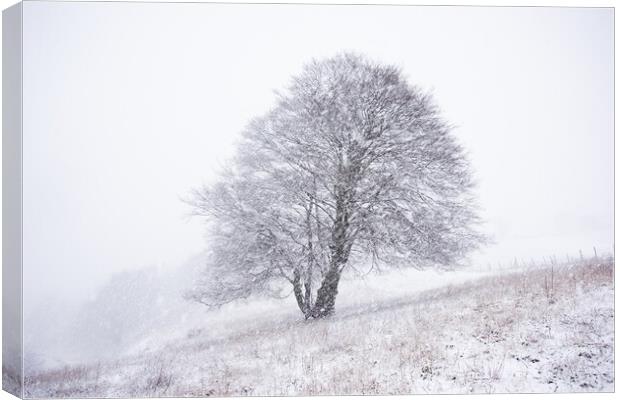 Dunstable Downs in Winter Canvas Print by Graham Custance