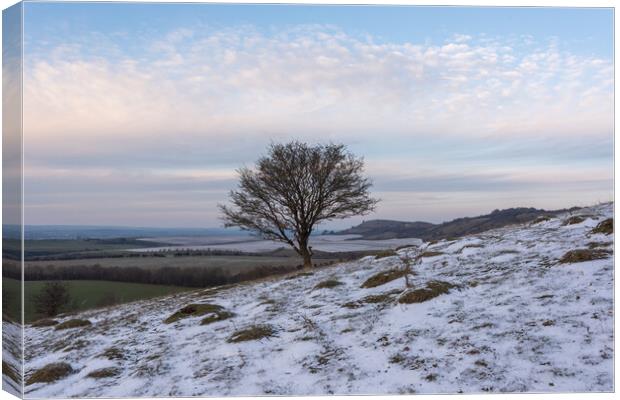 Ivinghoe Beacon  Canvas Print by Graham Custance