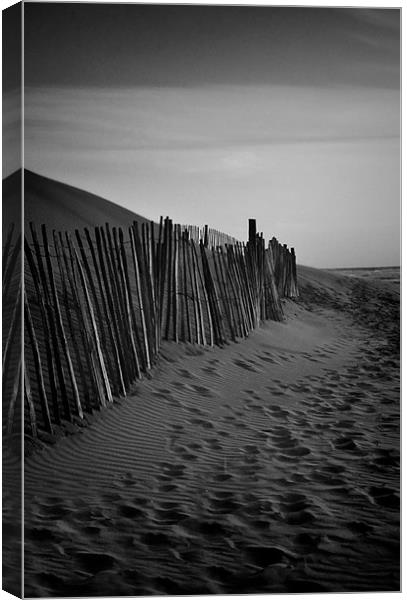 Footsteps in the Sand Canvas Print by Gary Horne