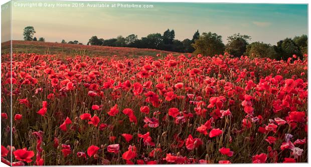  The Poppies of Remembrance... Canvas Print by Gary Horne
