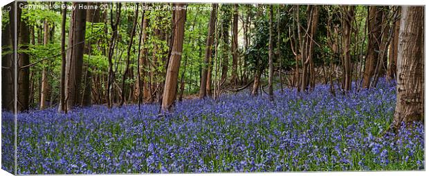 The Bluebells of Bristol Canvas Print by Gary Horne