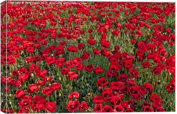 The Fields of Remembrance Canvas Print by Gary Horne