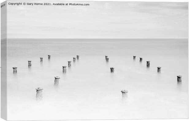 Pier Stumps Canvas Print by Gary Horne