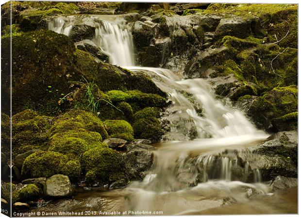 Waterfall in Spring 5 Canvas Print by Darren Whitehead