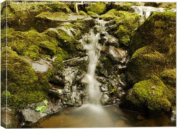 Waterfall in Spring 7 Canvas Print by Darren Whitehead