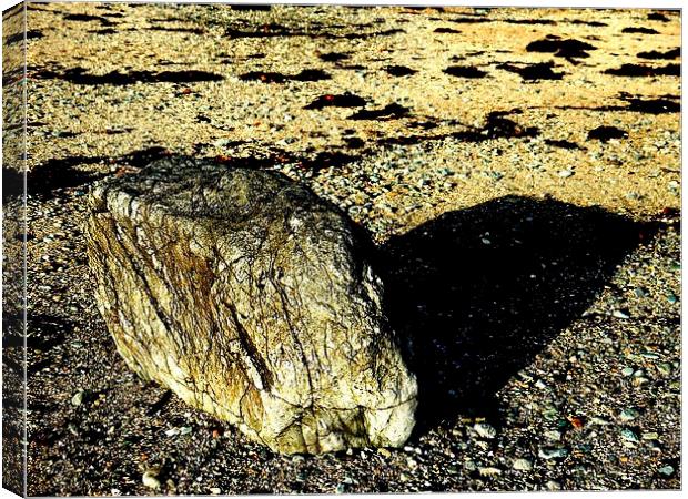 Rocky Shadows Canvas Print by Darren Whitehead