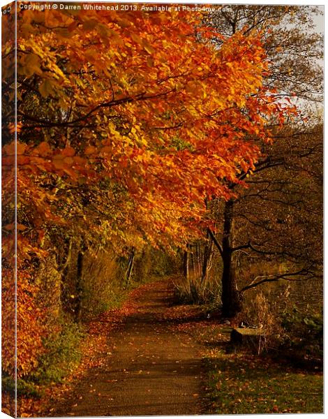 Autumn Walk Canvas Print by Darren Whitehead