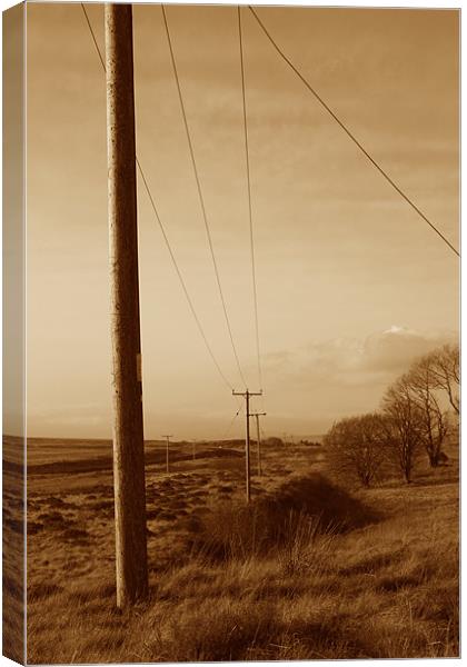 Western Look Electrical Poles Canvas Print by Richie Fitzgerald