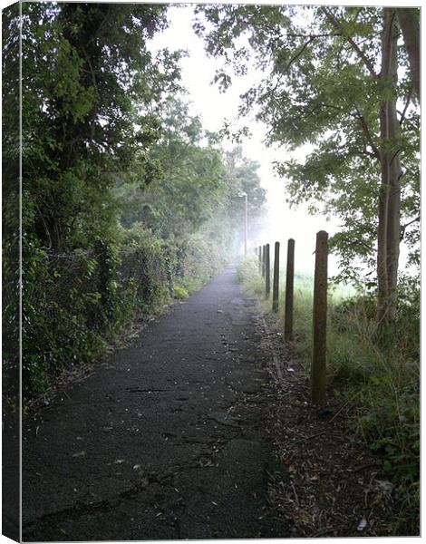 MISTY MORNING PATHWAY Canvas Print by mark graham