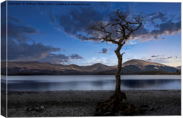 Milarrochy Bay blue hour Canvas Print by Graham Moore
