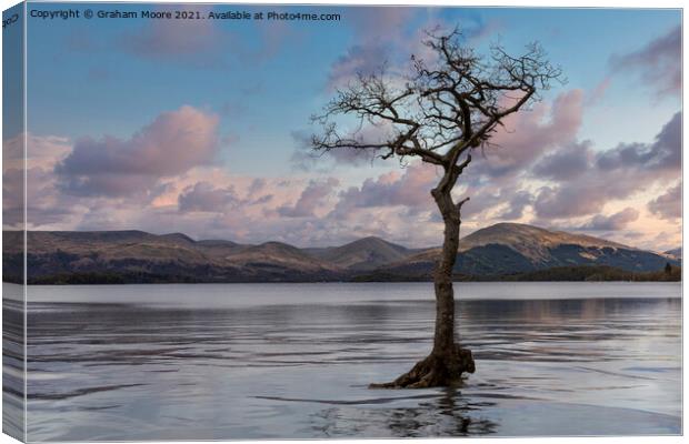 Milarrochy Bay high water sunset Canvas Print by Graham Moore