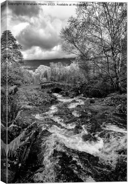 Ashness Bridge vert monochrome Canvas Print by Graham Moore