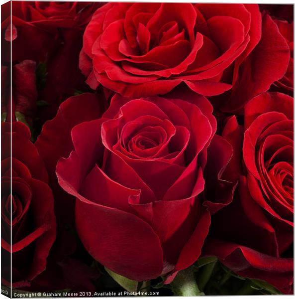 Group of red roses Canvas Print by Graham Moore