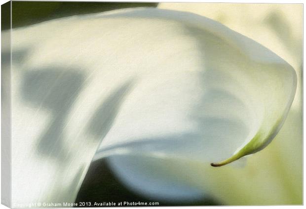 Arum lily Canvas Print by Graham Moore