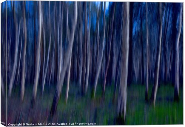 Trees Canvas Print by Graham Moore