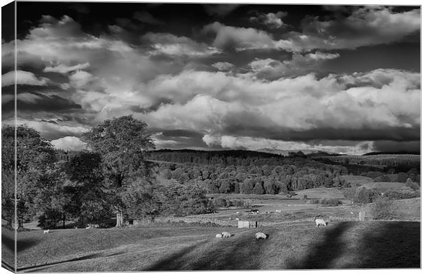 Esthwaite Water Canvas Print by Graham Moore