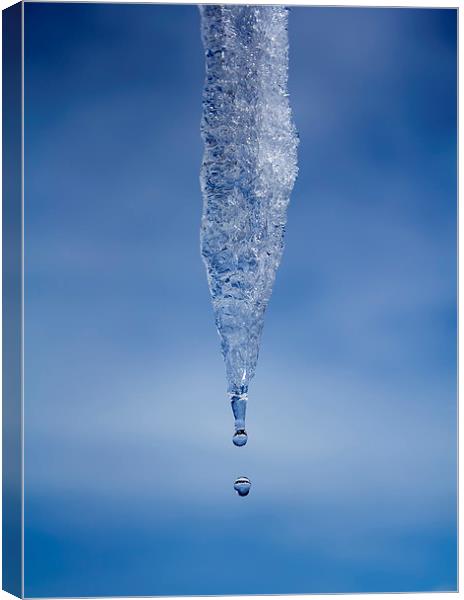Icicle Canvas Print by Graham Moore