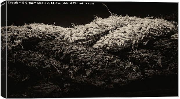 Twisted rope Canvas Print by Graham Moore