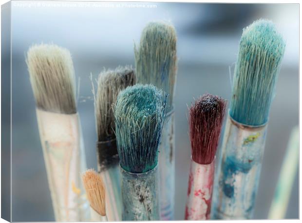 Artists paint brushes Canvas Print by Graham Moore