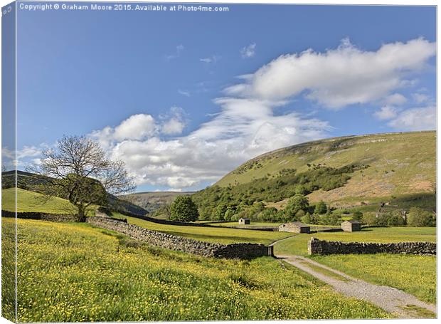 Muker meadows blue sky Canvas Print by Graham Moore