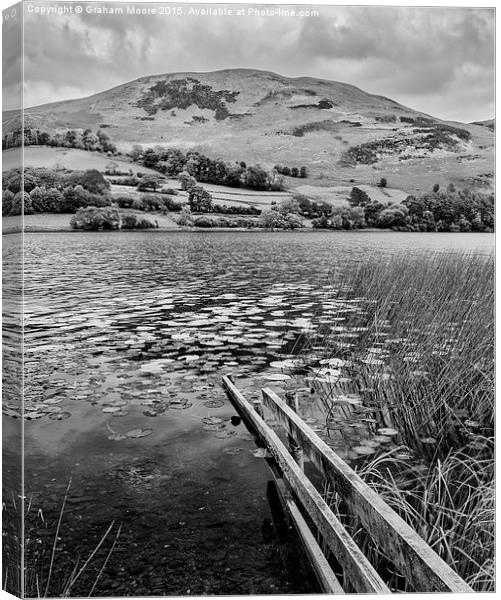 Loweswater Canvas Print by Graham Moore