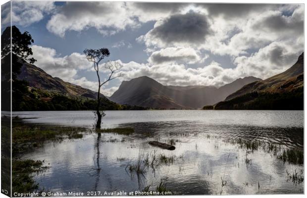 Buttermere tree Canvas Print by Graham Moore