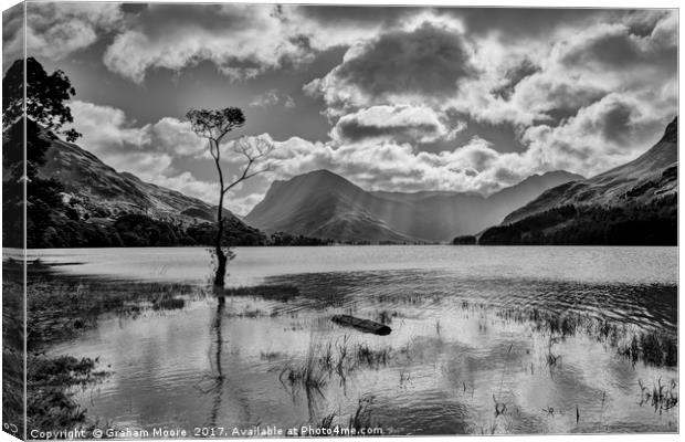 Buttermere tree Canvas Print by Graham Moore