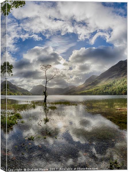 Buttermere tree Canvas Print by Graham Moore