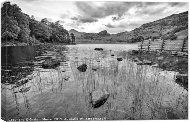 Blea Tarn Canvas Print by Graham Moore