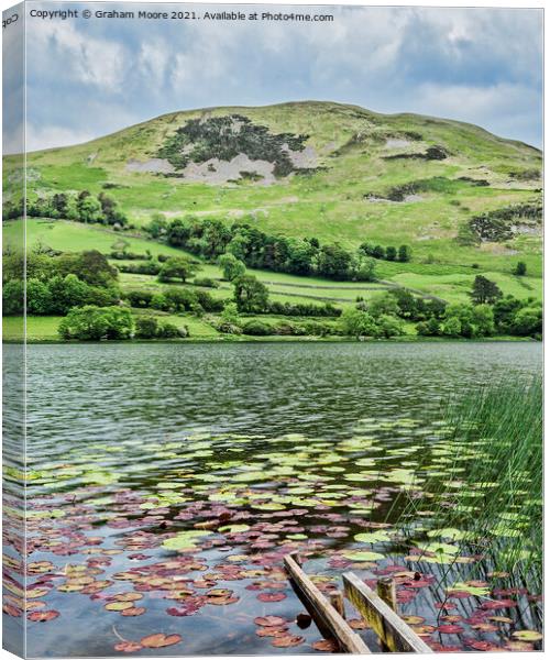 Loweswater with lily pads Canvas Print by Graham Moore