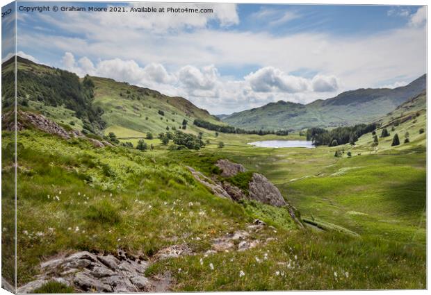 Blea Tarn from Side Pike Canvas Print by Graham Moore