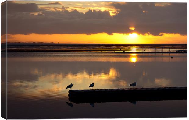 Birds eye view of a West kirby sunset Canvas Print by Paul Farrell Photography