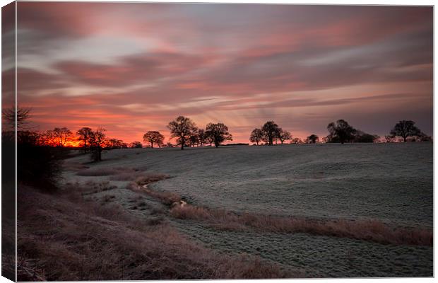 Frosty winter sunrise Canvas Print by Paul Farrell Photography