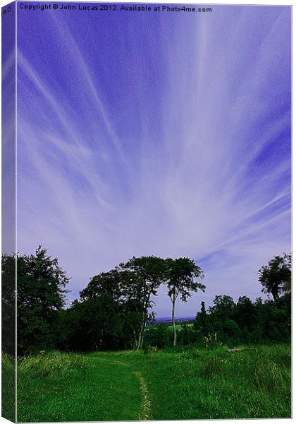 Treetop cloudscape Canvas Print by John Lucas