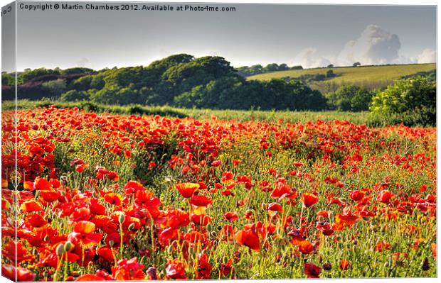 Poppy Field Canvas Print by Martin Chambers