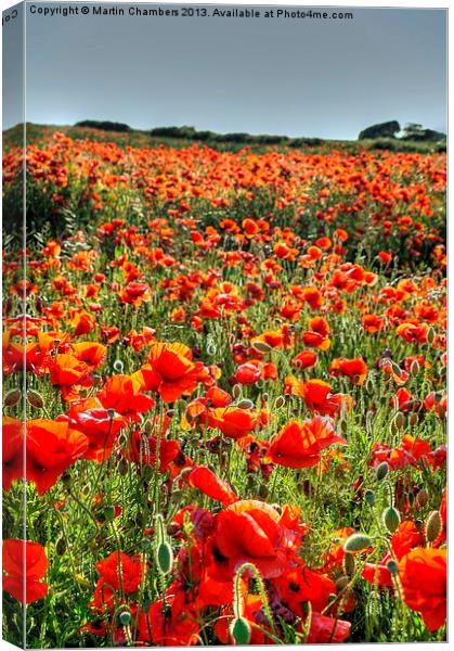 Poppy Field Canvas Print by Martin Chambers